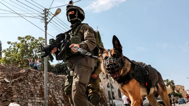 Avrupa'dan İsrail'e bir başka silah desteği: Saldırı köpekleri