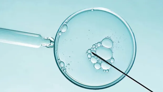 Deri Hücresinden Yumurta Üretimi: Bebek Sahibi Olmak Artık Daha Kolay Mı?