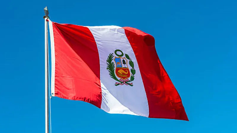 Eski Peru Devlet Başkanına 14 yıl hapis cezası