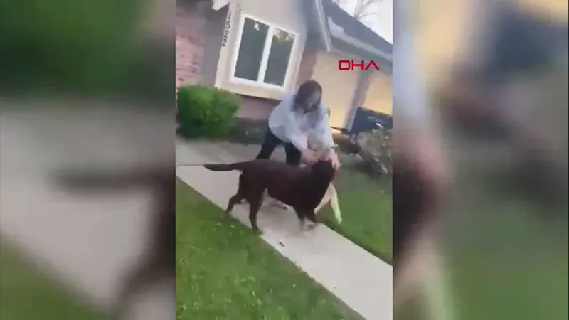 9 Ay Sonra Gözyaşları Sel Oldu! Astronot Köpekleriyle Kavuştu